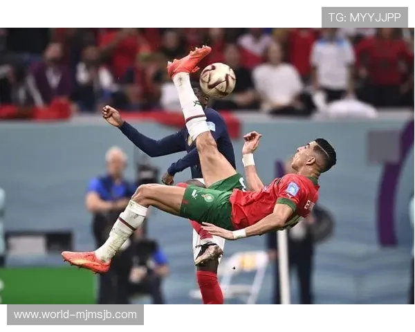 卡塔尔世界杯女足：观众热情与现场氛围的精彩报道与感受分享