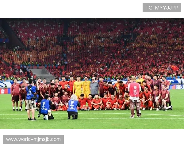 2026年世界杯晋级球队名单全景解析，哪些国家成功晋级，哪些国家遗憾落选