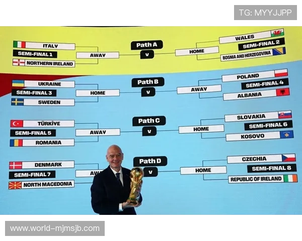 2026年世界杯欧洲区积分榜最新排名及晋级形势全景分析