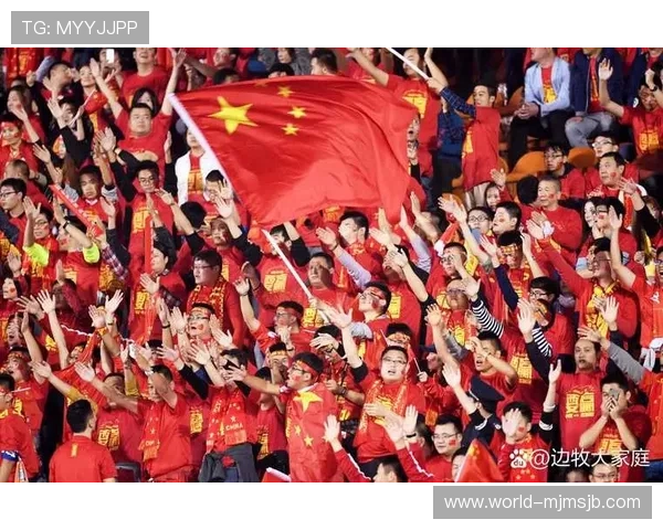 世界杯官方用球的品牌故事与背后团队的努力让你更懂足球运动的专业精神