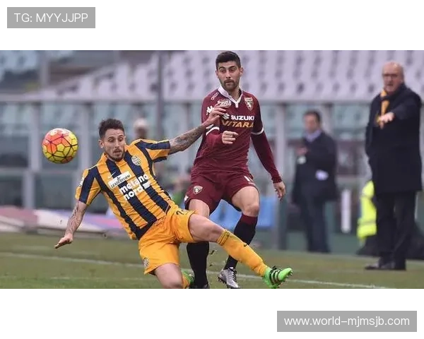 全面解析500足彩比分完整比分数据,提供专业的比赛结果和分析报告 全面解析500足彩比分完整比分数据,提供专业的比赛结果和分析报告