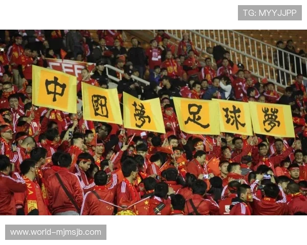 中国未能举办世界杯的历史原因与国际足球组织的相关政策分析 中国未能举办世界杯的历史原因与国际足球组织的相关政策分析