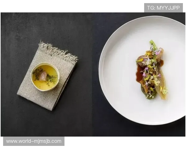 世界杯荷兰瑞典比赛期间的美食推荐：当地特色美食与餐厅指南